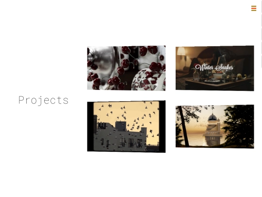 projects screenshot