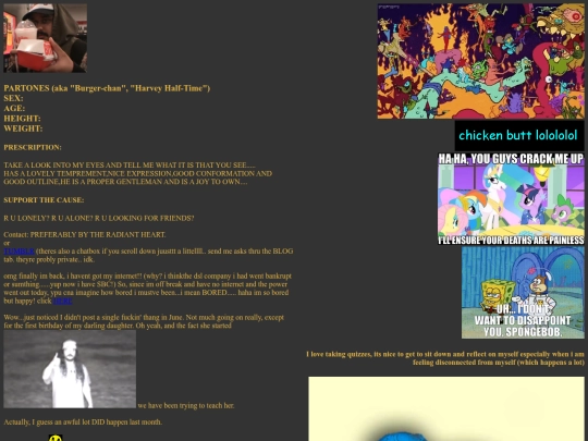 webmaster screenshot