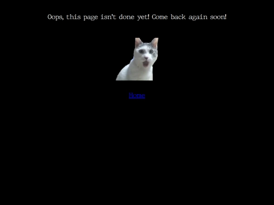 404 screenshot