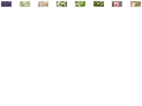 gardenstamps screenshot