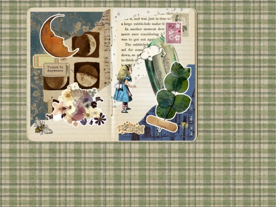 journal screenshot