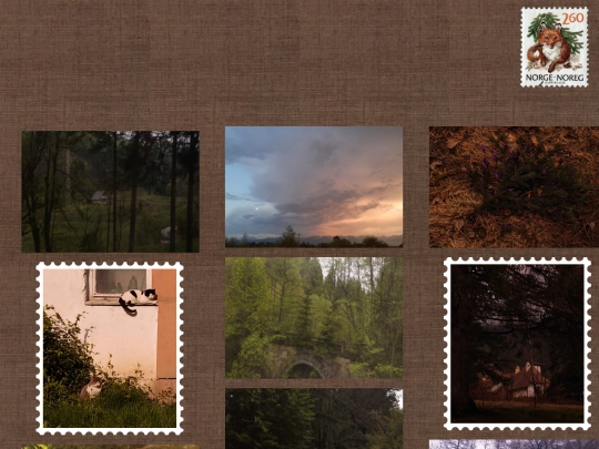 photos screenshot