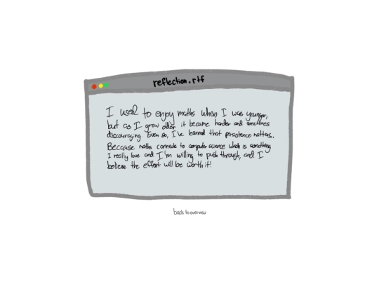 reflection screenshot