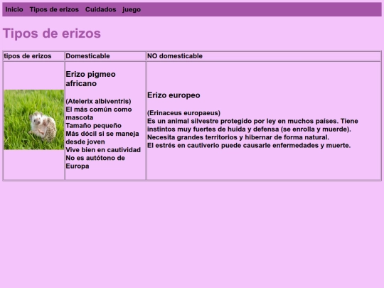 Tiposdeerizos screenshot