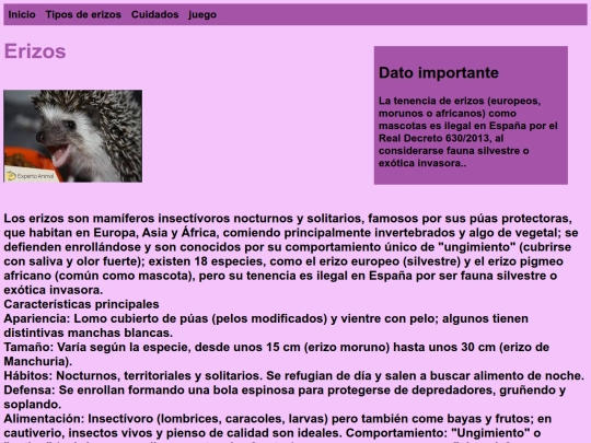 index screenshot