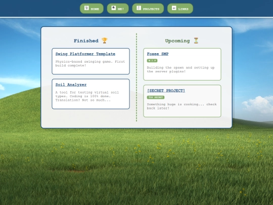 projects1 screenshot