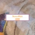 lorelailore.neocities.org avatar