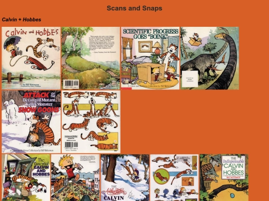 comic_books-Calvin+Hobbes screenshot
