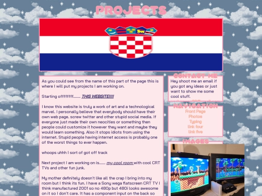 projects screenshot