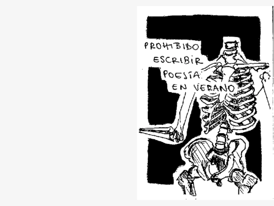 fanzines/nopoesiaenverano/prohibido_escribir_poesia_en_verano screenshot