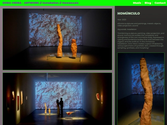 installation-homunculo screenshot