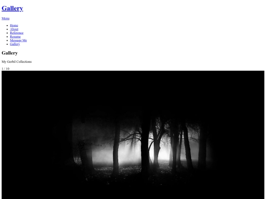 gallery screenshot