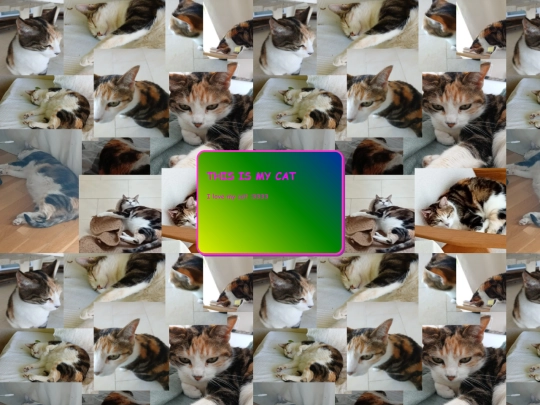 catworld screenshot