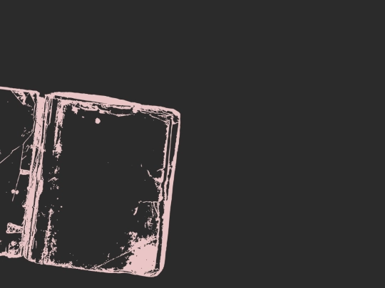 diary screenshot
