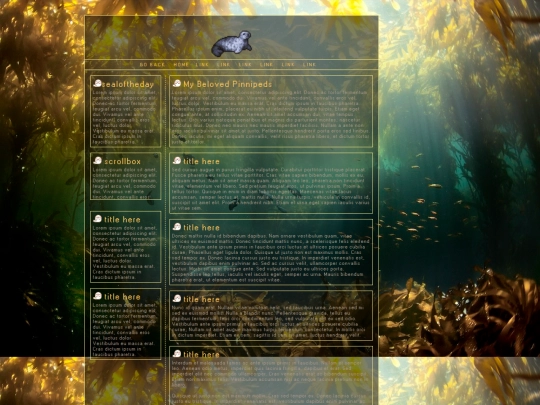 seal screenshot