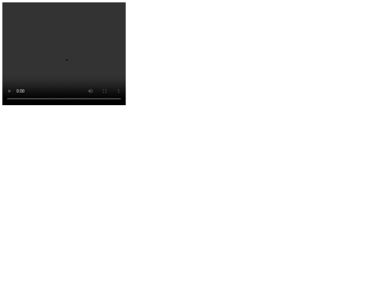 video screenshot
