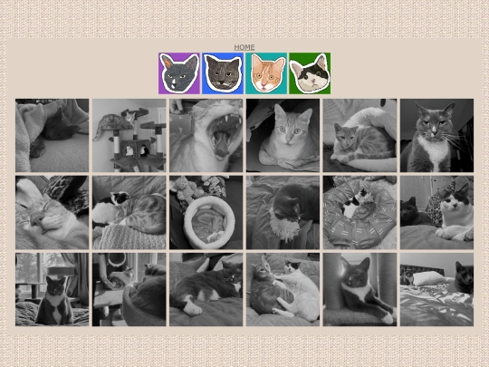 cats screenshot
