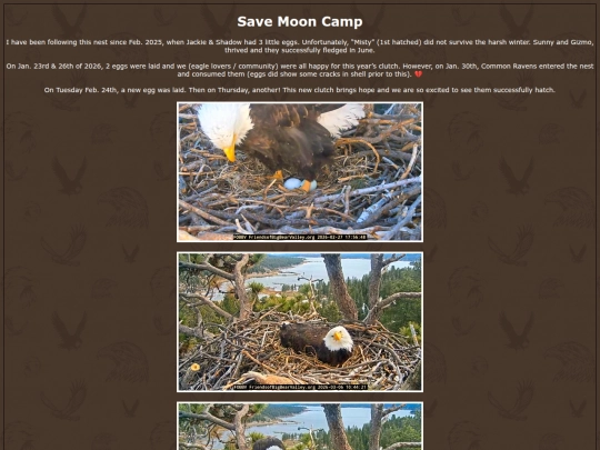MoonCamp screenshot
