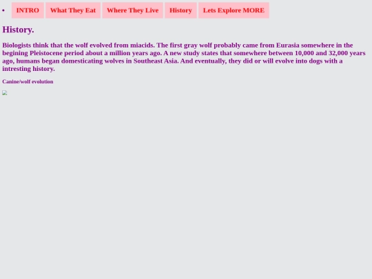 page4 screenshot