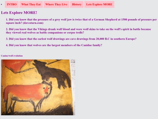 page5 screenshot