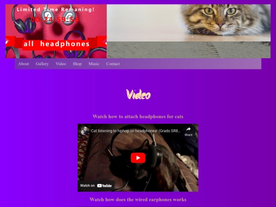 Video screenshot