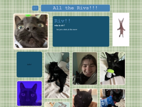 rivs screenshot