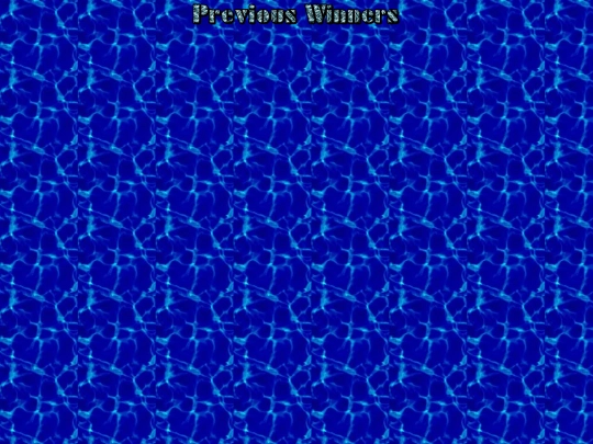 winners screenshot