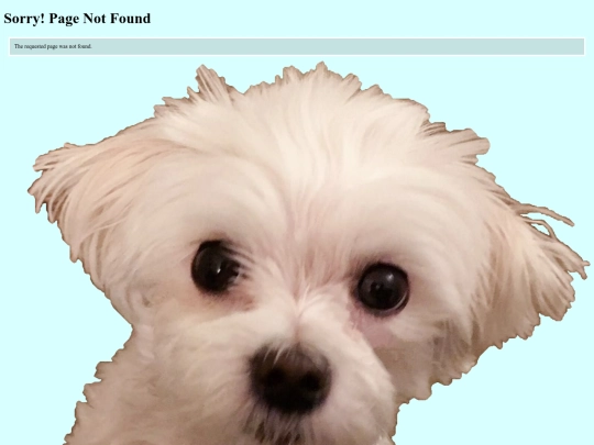 not_found screenshot