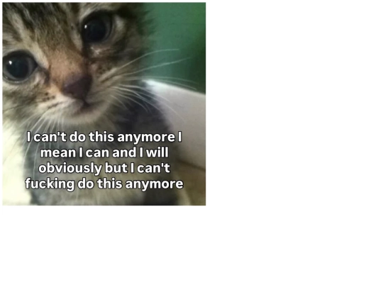 notes/note202505102221 screenshot