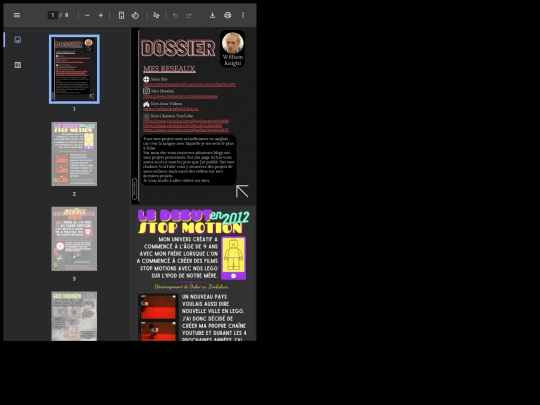 Portfolio screenshot