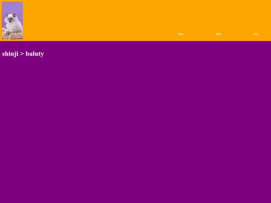 portfolio screenshot