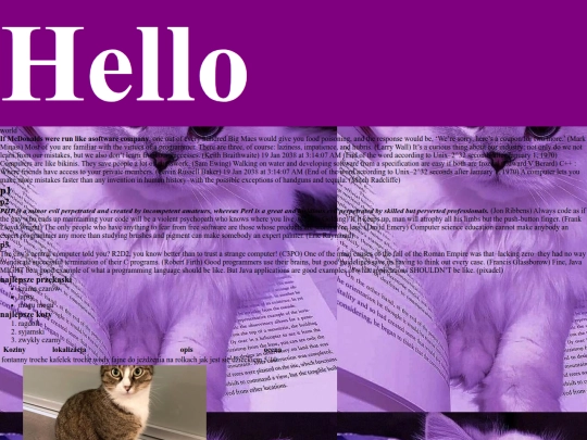 strona html screenshot