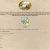 gnomemaking's avatar