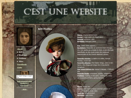 bjdprofiles screenshot