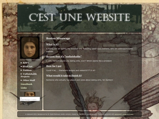 bostonmiauw screenshot