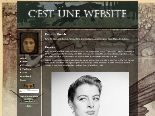 ff_models screenshot