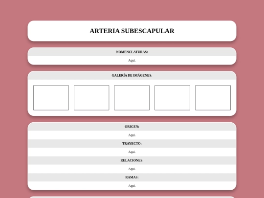 locomotor/arterias/subescapular screenshot