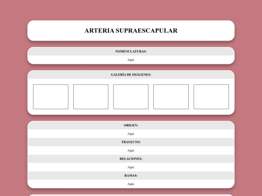 locomotor/arterias/supraescapular screenshot