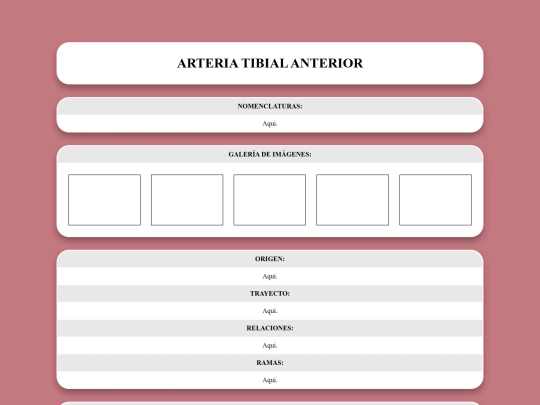 locomotor/arterias/tibialanterior screenshot