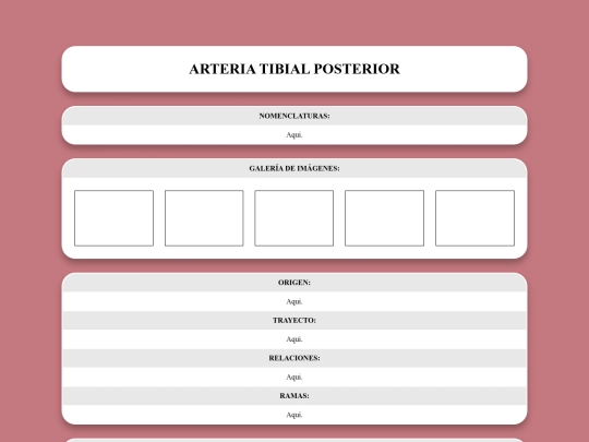 locomotor/arterias/tibialposterior screenshot