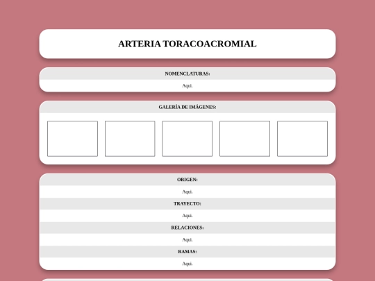 locomotor/arterias/toracoacromial screenshot