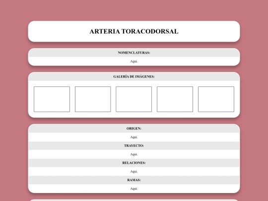 locomotor/arterias/toracodorsal screenshot