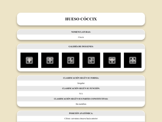 locomotor/huesos/coccix screenshot