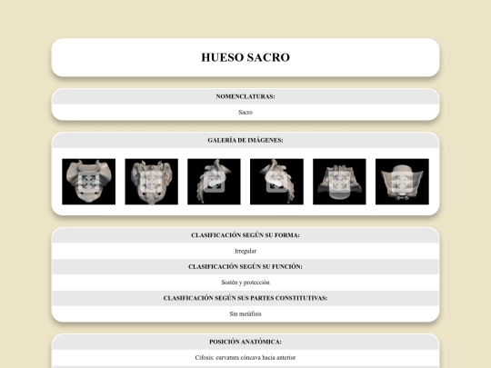 locomotor/huesos/sacro screenshot