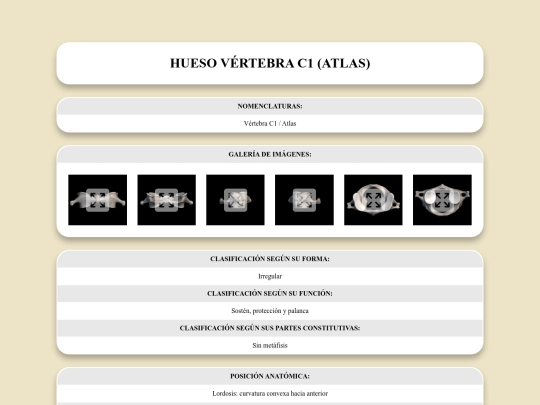 locomotor/huesos/vertebrac1 screenshot