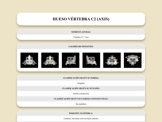 locomotor/huesos/vertebrac2 screenshot