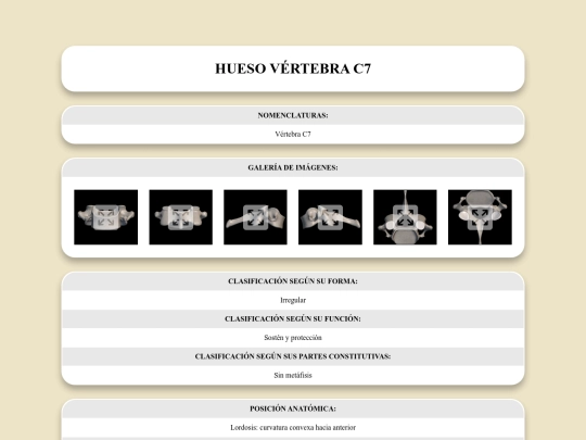 locomotor/huesos/vertebrac7 screenshot