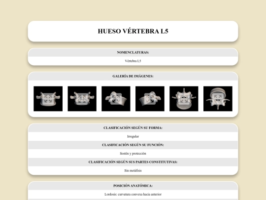 locomotor/huesos/vertebral5 screenshot