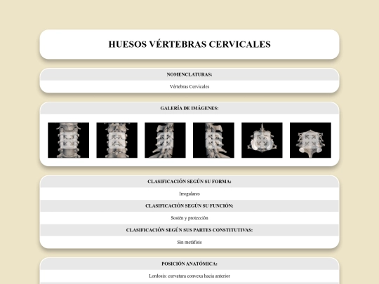 locomotor/huesos/vertebrascervicales screenshot