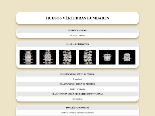 locomotor/huesos/vertebraslumbares screenshot